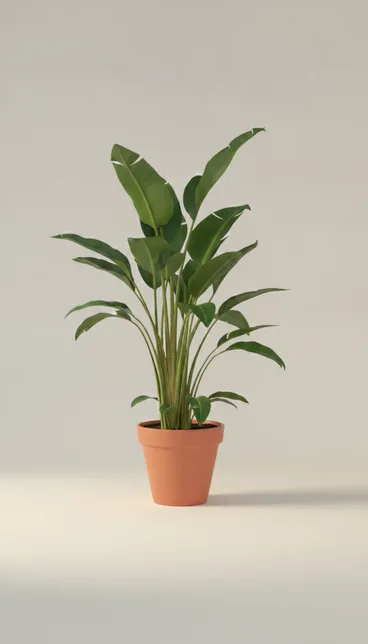 Стрелиция Регина (Strelitzia reginae) — купить в Перми, Бергамот